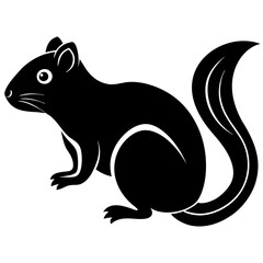 illustration of a squirrel