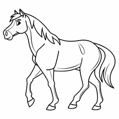 horse illustration