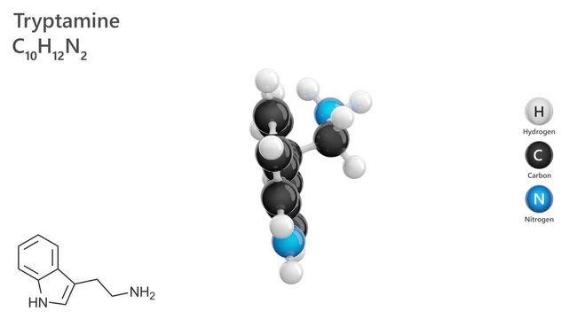Tryptamine. Alkaloid. Mood regulation. Animated 3D model of a molecule. Molecular formula: C10H12N2. Chemical model: Ball and stick. White background. 3D rendering. Seamless loop.