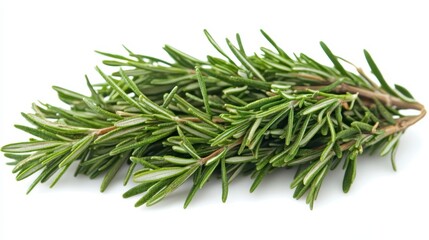 Fototapeta premium Fresh Green Rosemary Sprigs Culinary Herb Aromatic Cooking Ingredient Food Photography
