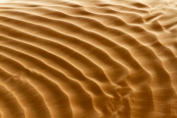 Abstract background. Sand dune texture close-up view. Shifting sand fines in the wind. Sahara, Africa