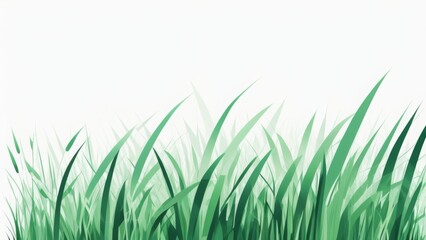 Fototapeta premium green grass isolated on white