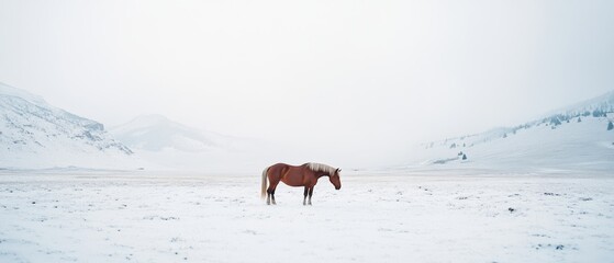 Majestic icy mountains cloaked in mist, painting a mysterious and awe-inspiring landscape, kissed by early light.