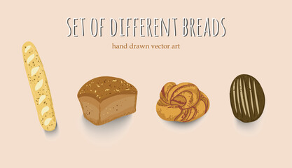 A Set of Delicious Baking bread hand drawn style, Cinnamon Roll, black, rye bread, French baguette, grain, yeast baked bread Vector illustration.