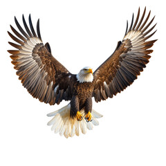 Obraz premium Bald eagle with wings spread isolated on transparent background