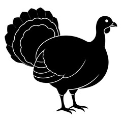 Cute Silhouette of a Turkey line art vector cartoon illustration
