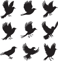 A vector Silhouette Image