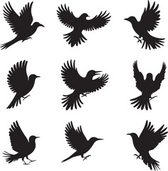 A vector Silhouette Image