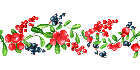 Watercolor illustration, hand drawn seamless border on a white background. Red currant, black currant, cowberries, twigs, leaves