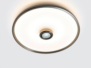 Ceiling lamp with modern design and sleek finish, fixture, isolated