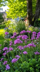 Naklejka premium Purple violet flowers spring garden lush greenery in natural setting