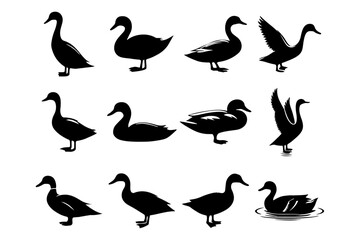 A single duck silhouette swimming in calm water, creating ripples, Duck silhouette - cut out vector icon,  Duck icon vector illustration design, black swan on white, swan, bird, animal, vector,