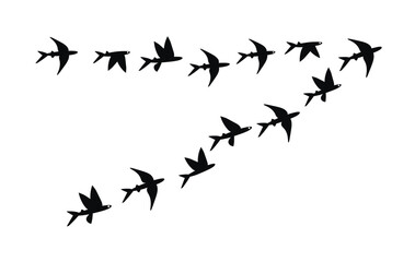 Flock of flying fish. Vector silhouette image.