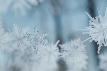Ice crystals in close up shot. 3D Rendering