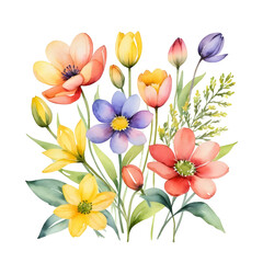Fototapeta premium Vibrant Watercolor Bouquet of Flowers with Transparent Background