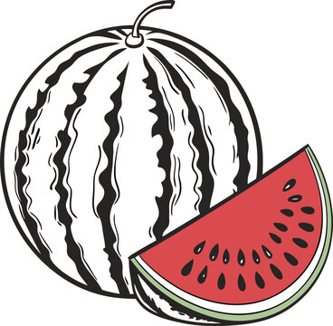 watermelon slice and whole fruit outline clip art preview