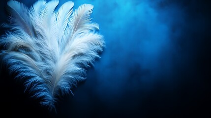 Obraz premium White Ostrich Feathers Against a Blue Background
