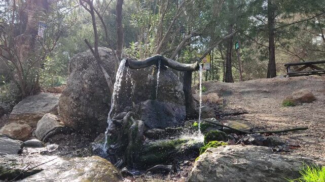 Springwater fountain troughs, carved from a tree trunk, used for drinking water in the Dokuzoluk Recreation Area of the Taurus Mountains.