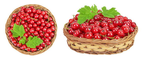 Red currant berries in a wicker basket with leaf isolated on white background. Top view. Flat lay