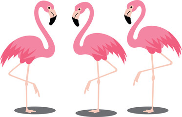 Obraz premium Set of 3 Cute pink flamingos vector art illustration 2