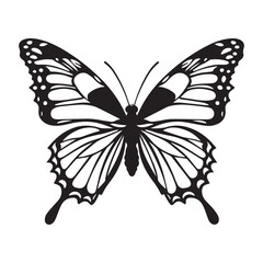  A Winged Beauty Butterfly Black and White vector