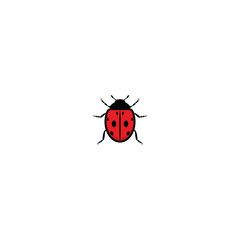 Fototapeta premium Ladybug isolated on a white background vcetor graphics