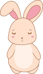 This playful cartoon bunny and rabbit clipart.perfect for celebrate with Easter Day and first easter for kids.