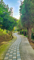 블럭으로 정돈된 숲길