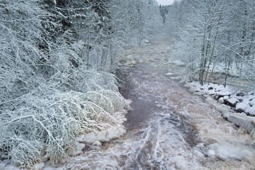 Winter river landscape, snow covered branches and ground, Nukarinkoski, Nurmijärvi, Finland.