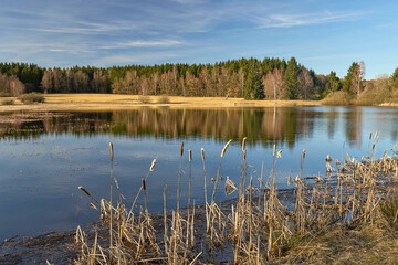 Moorsee im Naturschutzgebiet Weiherwiesen, Tauchenweiler, Essingen, Deutschland