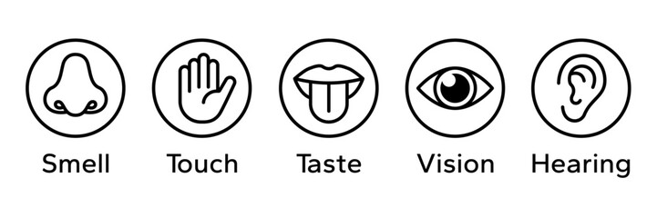 Human senses icon set. Vision eye, smell nose, hearing ear, touch hand, taste mouth with tongue. Simple line icons and black circle. Five senses of human nervous system. Vector illustration.