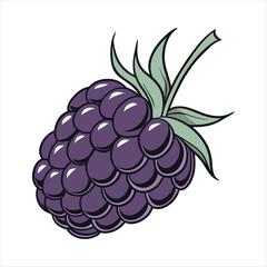 Blackberry vector art illustration
