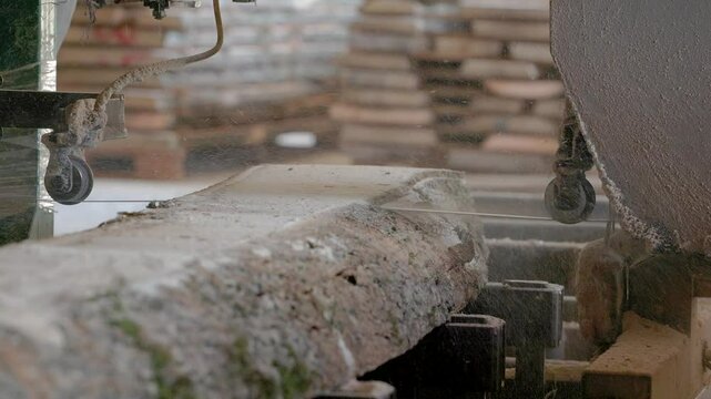 At the sawmill, a saw cuts brown wood. Tree bark and old rusty saw. Close-up. Work at the sawmill. Dust flies from wood and wood chips.