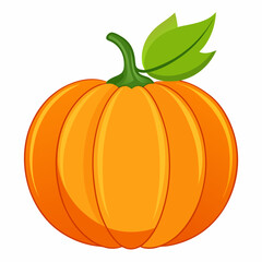 pumpkin isolated on white