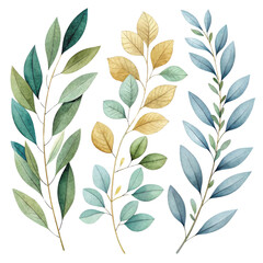 Watercolor Botanical Illustration Four Green and Gold Branches Isolated on Transparent Background, Floral Design, Greenery, Leaves, Watercolor, Botanical