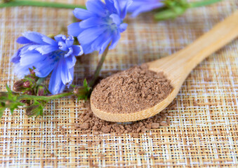 Ground chicory root on a wooden spoon and chicory flowers on a rustic wooden background. Alternative medicine. Healthy drinks. chicory drink