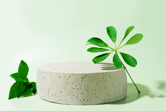 Concrete empty podium with green leaves