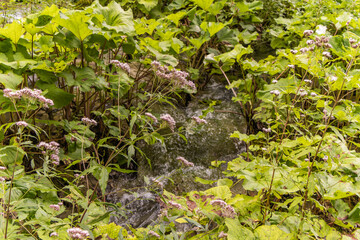 A small waterfall in the beautiful Plitvice Lakes National Park.
