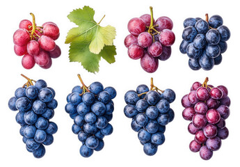 Obraz premium Fresh Red and Blue Grapes with Green Leaves Studio Shot High Resolution Images