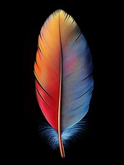 A beautiful colorful feather isolated on black background 