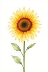 Fototapeta premium there is a yellow sunflower with green leaves on a stem