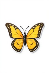 Obraz premium a close up of a butterfly on a white surface