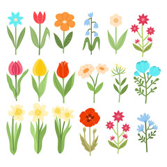 Set of different doodle bright flowers spring or summer on white background. Cute flowers for decor vector illustration