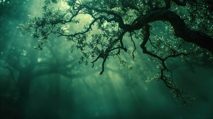 There is a tree that is in the middle of a forest