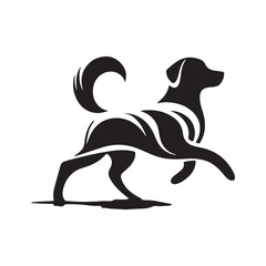 welsh corgi breed dog sitting on a white background