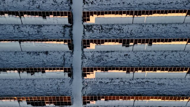 Half snow covered solar panel of an industrial solar park at sunset, sunrise, cold winter day, zoom, copy space, top down view