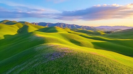 Obraz premium Colorful wildflowers spread across rolling hills at sunset