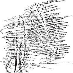 Monochrome texture composed of irregular graphic elements. Distressed uneven grunge background. Abstract vector illustration. Overlay for interesting effect and depth. Isolated on white background.