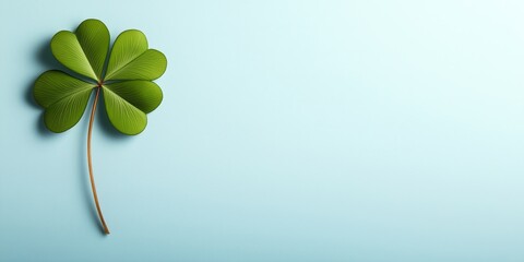 A minimalistic design featuring a single four-leaf clover on a soft blue background, symbolizing luck and elegance