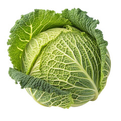 Fototapeta premium Savoy Cabbage, Single Whole Head, Isolated on Transparent Background, Green Vegetable, Fresh Produce, cabbage, vegetable, food